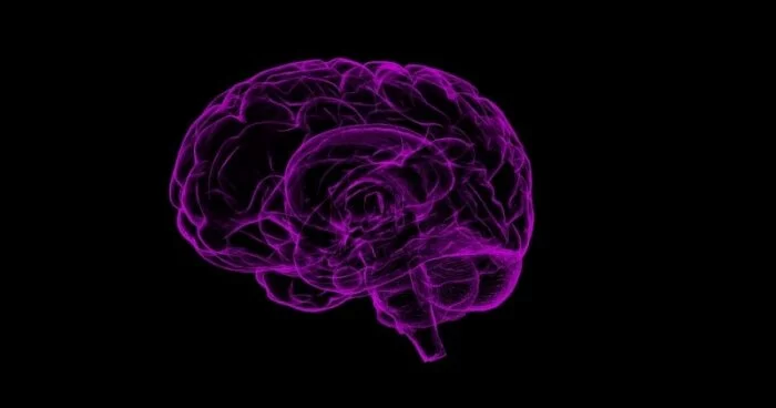 Ученые: Плотность серого вещества мозга с возрастом увеличивается