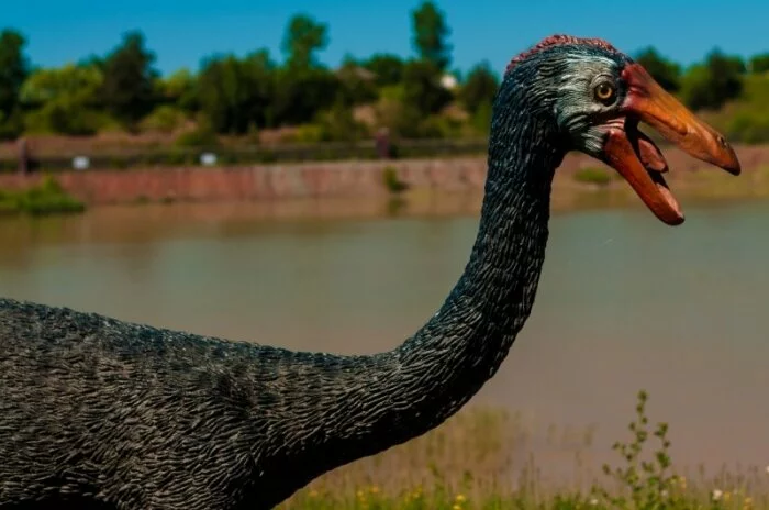 Ученые рассказали, как птицы произошли от динозавров