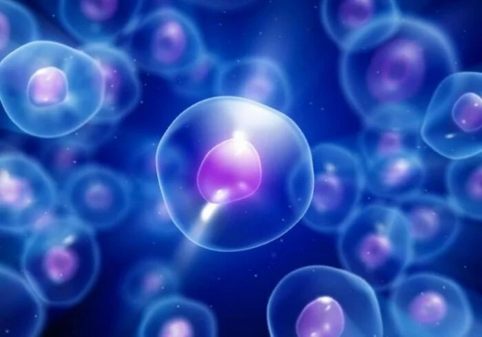 Ученые разработали методику анализа тысяч клеток одновременно