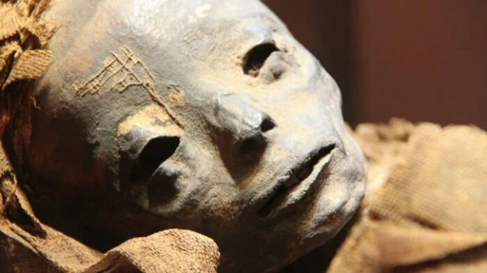 В Перу обнаружена пугающая мумия пришельца – частный коллекционер остолбенел от невероятной находки