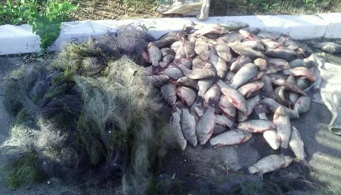 У Луганской ТЭС незаконно ловили рыбу