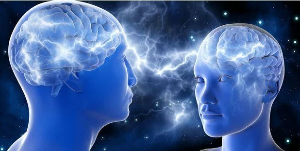 Ученые доказали, что мозг мужчин больше женского