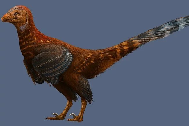 Ученые обнаружили динозавра с современными перья?ми