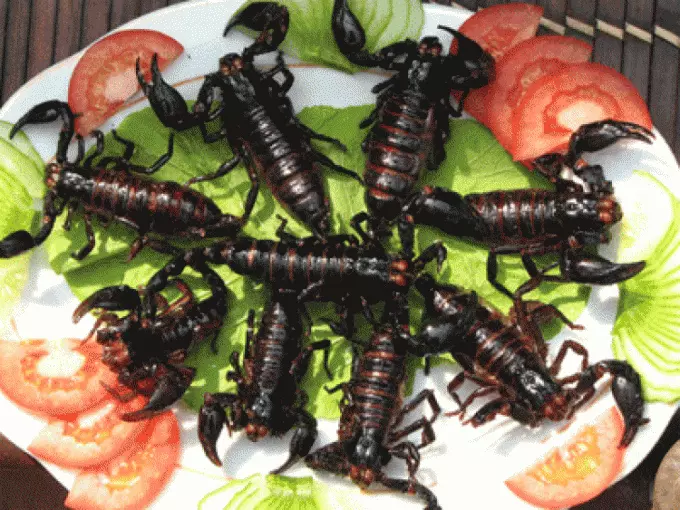 Ученые: Переход на питание насекомыми снизит парниковый эффект