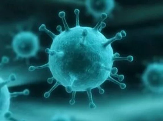 Ученые: Вирусы гриппа способны «похищать» человеческие клетки