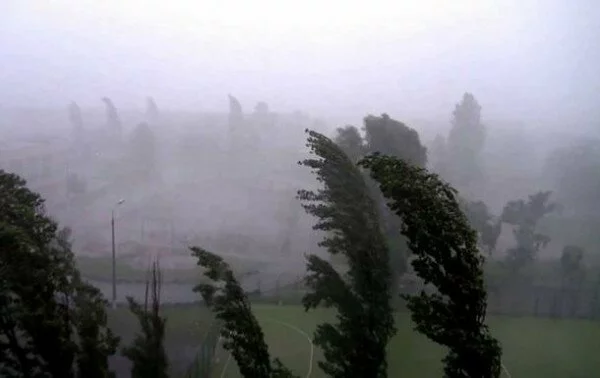 В Кузбассе объявили штормовое предупреждение из-за ветра