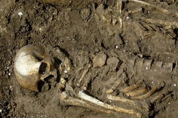 В Ленинградской области нашли скелет во время спортивных соревнований