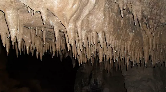В Прикамье была обследована новая карстовая пещера