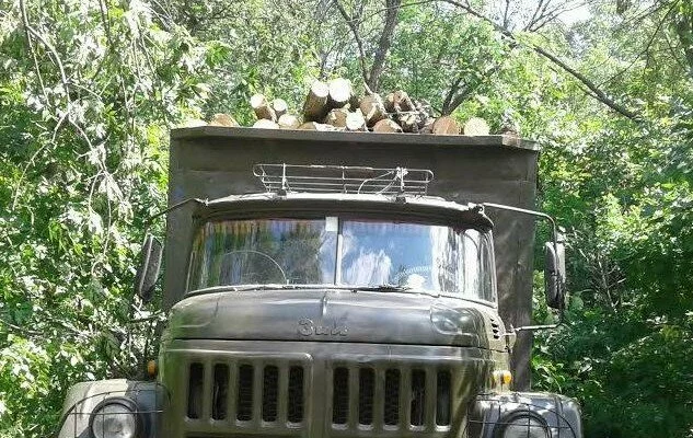На Луганщине поймали лесорубов-нарушителей