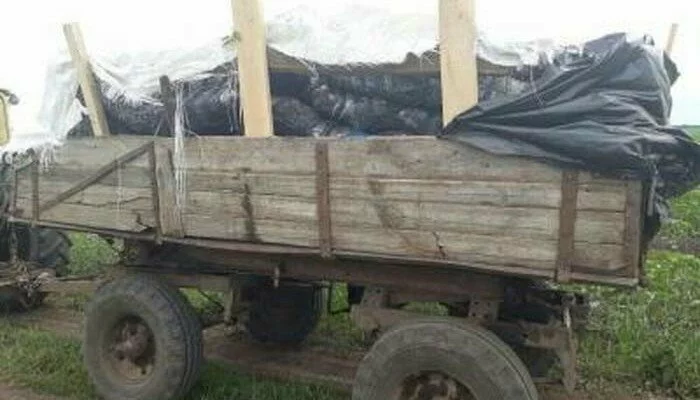 На Сумщине двое украинцев пытались трактором переправить в Россию около 3 тонн мяса
