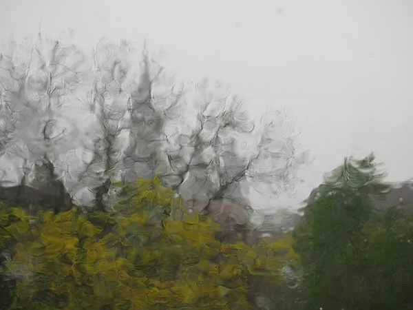 "Погода бушует": В Екатеринбурге ожидаются грозы и сильный ветер