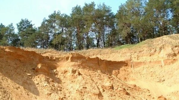 Ребенка насмерть завалило песком в Мордовии