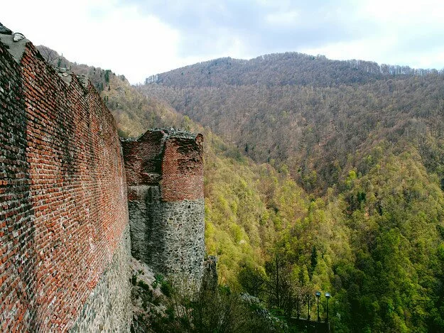 Семейство медведей поселилось у замка Дракулы в Румынии