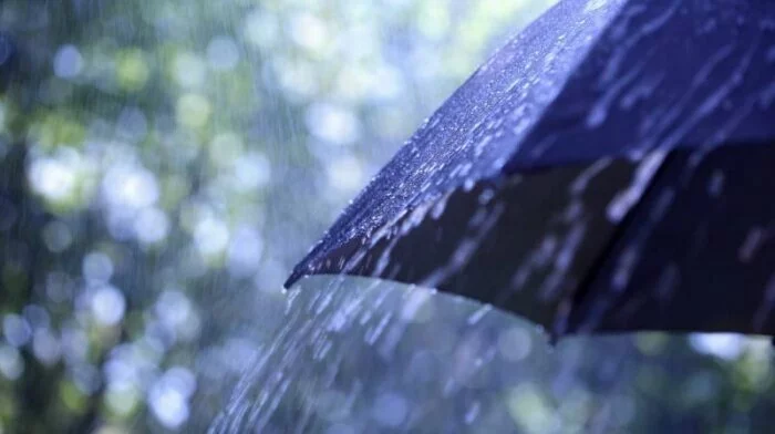 Гидрометцентр: На новой рабочей неделе воронежцев ждут дожди и грозы
