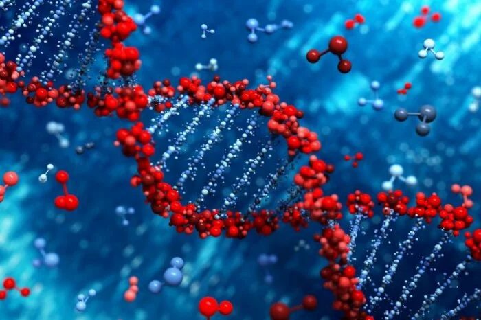 Ученые впервые смогли составить самую полную карту ДНК человека