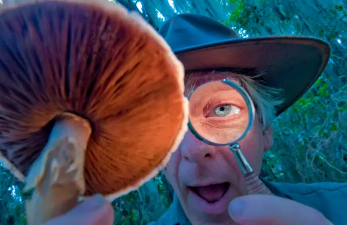В Бразилии найден самый древний гриб в мире