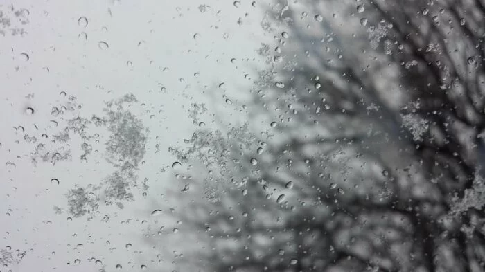 В Мурманской области в воскресенье мокрый снег и +5°С