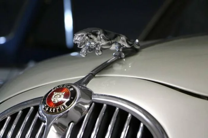 В РФ реализация Jaguar возросла почти на 200%
