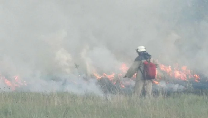 В Станично Луганском районе 5,5 га травы стали пеплом