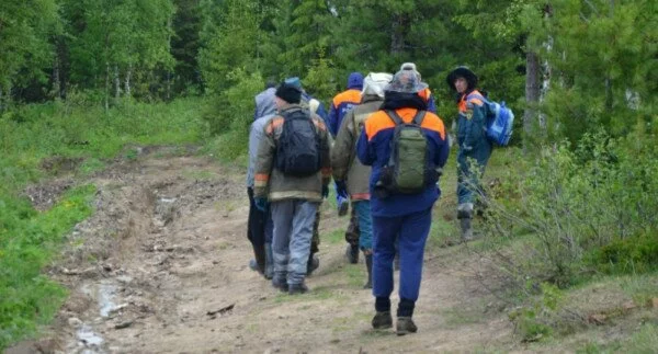 В лесу на Урале пропал 4-летний мальчик
