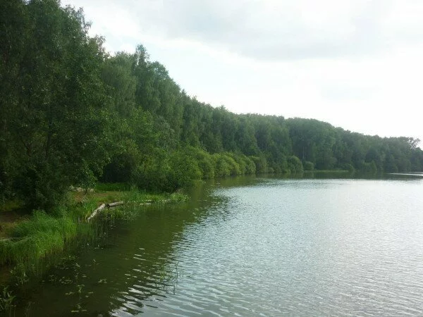 В Московской области в озере Щелковского района найден труп мужчины