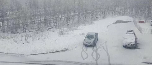 В Мурманской области среди лета выпал снег