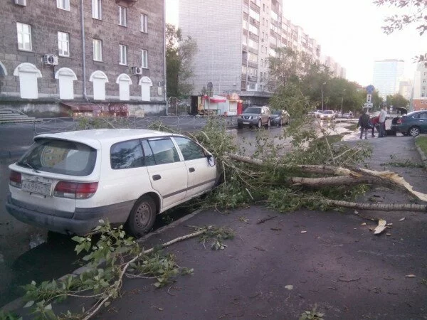 В Новосибирске весь день устраняют последствия урагана