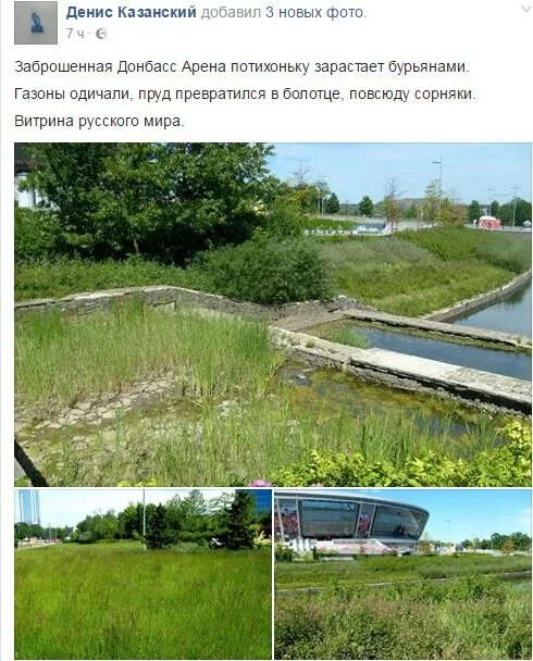Вокруг «Донбасс Арены» — болото и одичание: фото