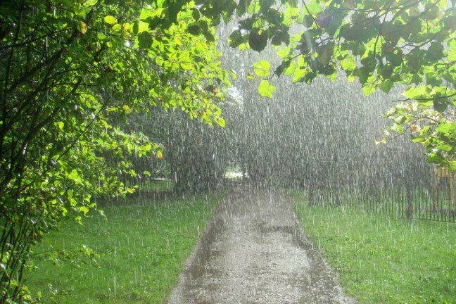 Волгоград погода: в выходные город окажется в «мокром плену»
