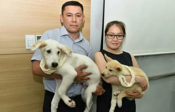 Южная Корея передала в Россию двух щенков-клонов якутской лайкивЂЌ