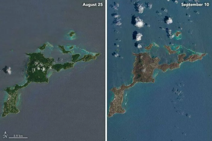 Эксперты: Карибские острова после урагана «Ирма» остались без растительности