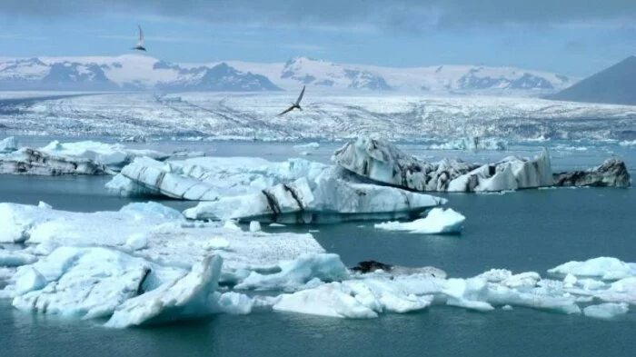 Сокращение льдов Арктики достигло рекордных значений