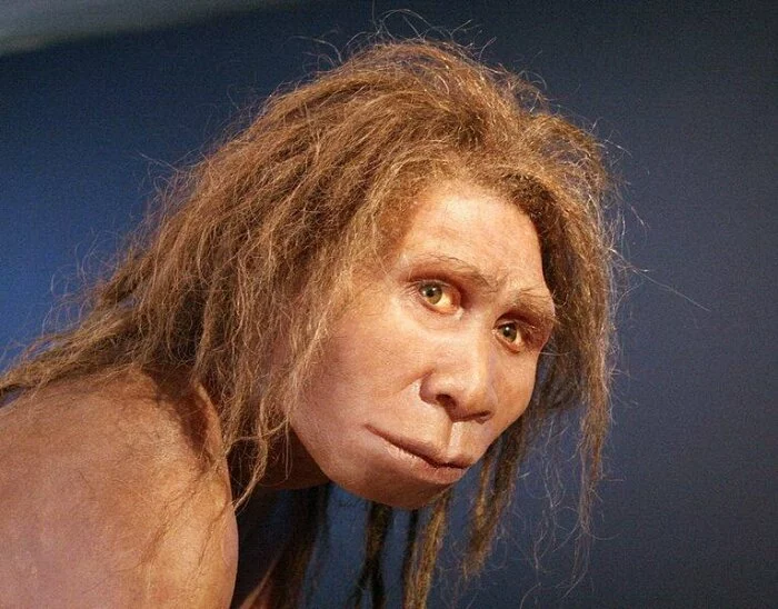 Ученые: Мозг неандертальцев продолжал увеличиваться в размерах до 7 лет