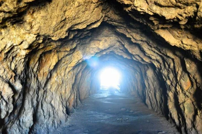 Ученые обнаружили в Туркменистане неизвестное пещерное существо - Turkmenocampa mirabilis