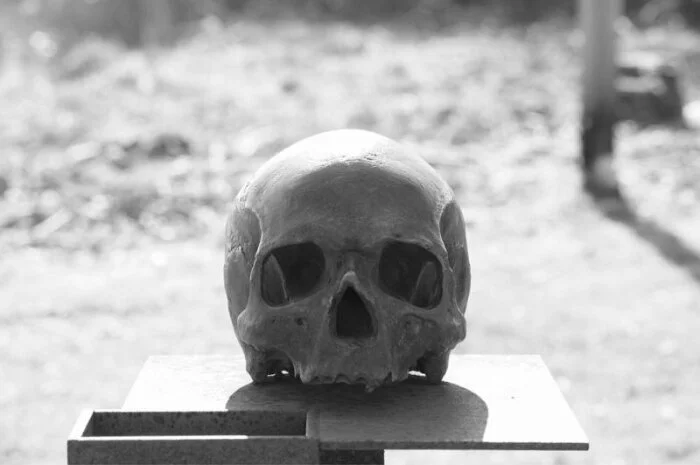 В Санкт-Петербурге найдено множество человеческих костей возле церкви в Невском районе