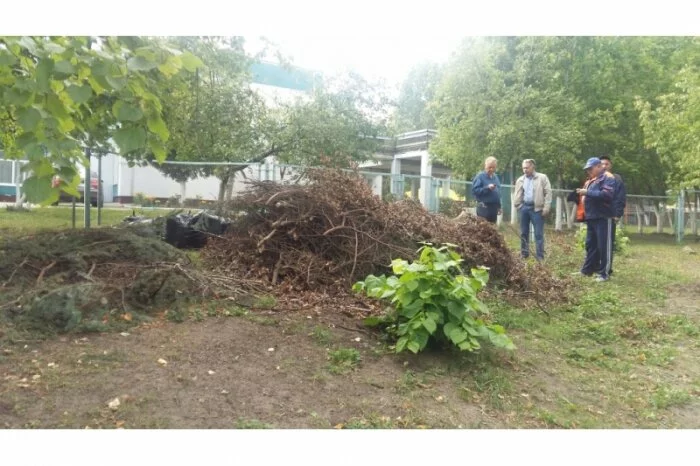 Все вместе убрали сквер