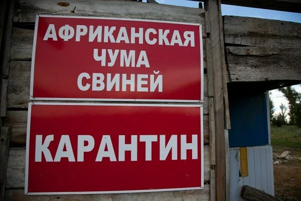 Заказник в Волгоградской области закрыт на карантин из-за АЧС