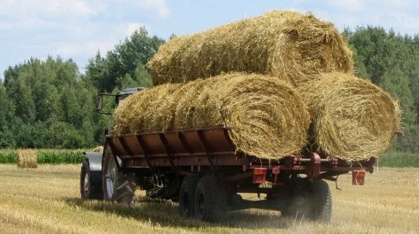 На Омской трассе из грузовика на ходу выпал рулон сена