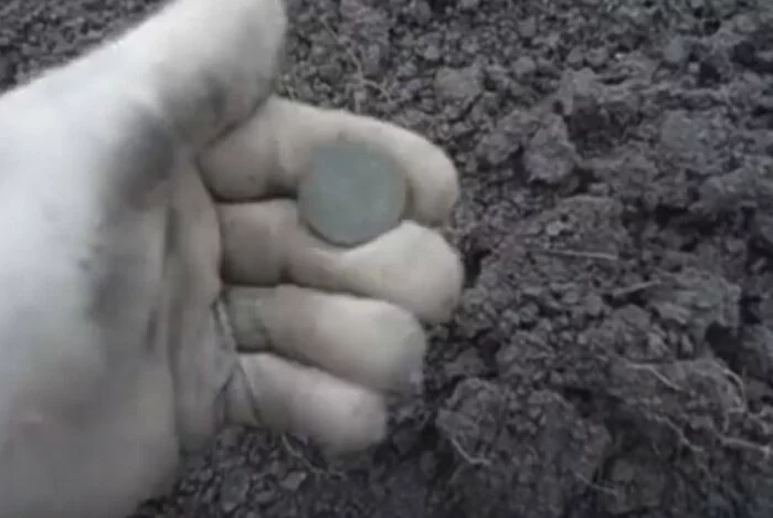 Археологи обнаружили в Москве клад из монет времён Петра I