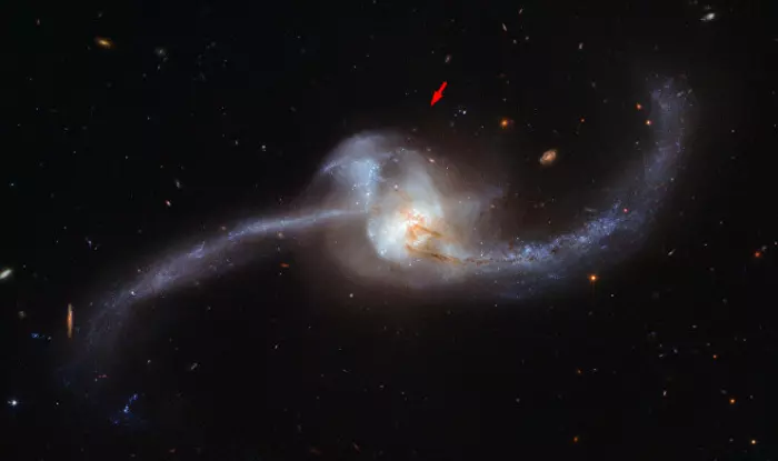 «Хаббл» сфотографировал галактику в форме космического «головастика»