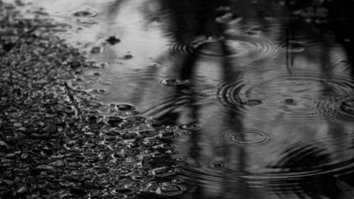 Из-за урагана в Эстонии прошел “черный” дождь
