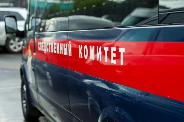 В Омске арестовали пенсионера с 13 коробками боярышника