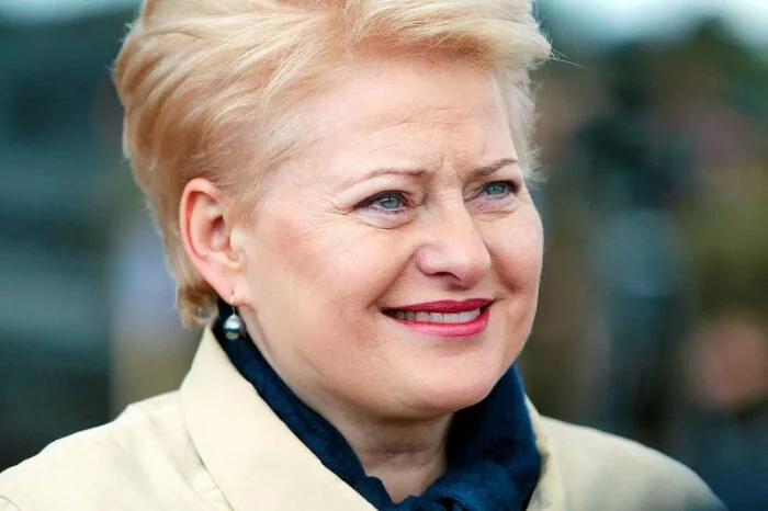 Президент Литвы предрекает долгий путь Украине в Евросоюз