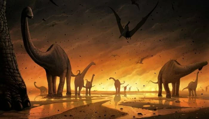 Причиной вымирания динозавров стало “неудачное” место падения астероида