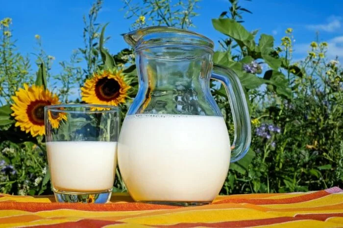 Роспотребнадзор обнаружил в молоке опасные бактерии, известь и гипс