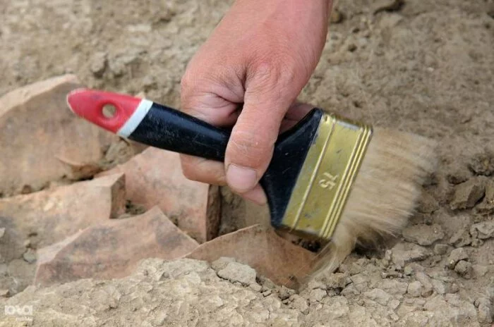 В Чехии археологи обнаружили самое массовое захоронение Средневековья