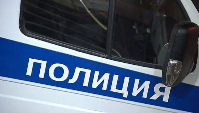В одной из школ Новой Москвы ученица ударила ногой в живот сотрудницу полиции