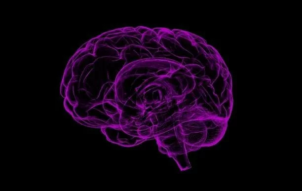 Ученые: Мозговые импланты будут нарушать границы личной жизни