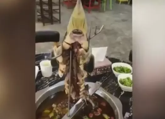 В Китае шеф-повар подал гостям ресторана выпотрошенную рыбу-зомби